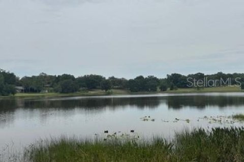 Land in Leesburg, Florida № 1773560 - photo 1