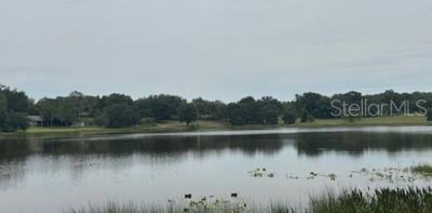 Land in Leesburg, Florida № 1773560