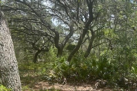 Land in Leesburg, Florida № 1773560 - photo 24