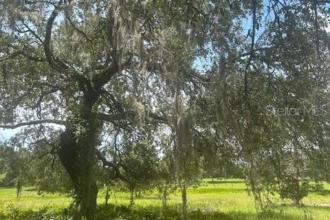 Land in Leesburg, Florida № 1773560 - photo 23