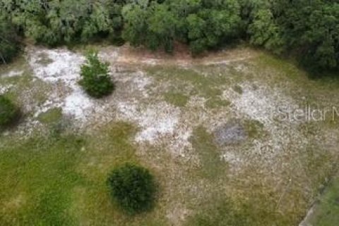 Land in Leesburg, Florida № 1773560 - photo 13