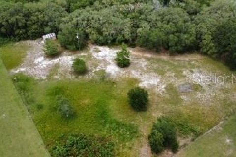 Land in Leesburg, Florida № 1773560 - photo 15