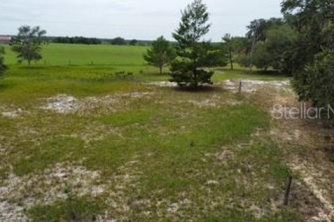 Land in Leesburg, Florida № 1773560 - photo 10
