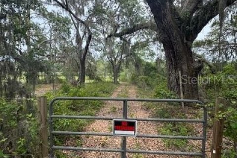 Land in Leesburg, Florida № 1773560 - photo 7
