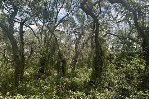 Land in Leesburg, Florida № 1773560 - photo 22