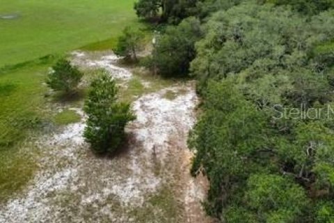 Land in Leesburg, Florida № 1773560 - photo 12
