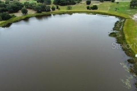 Land in Leesburg, Florida № 1773560 - photo 5