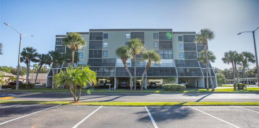 Condo à Saint Petersburg, Floride, 2 chambres  № 2148540