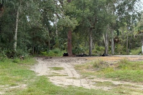 Terrain à Edgewater, Floride № 2099577