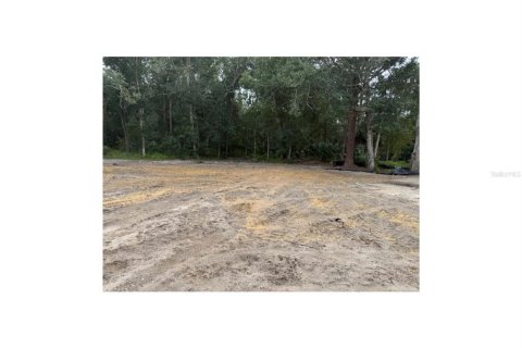 Купить земельный участок в Эджуотер, Флорида № 2099577 - фото 7