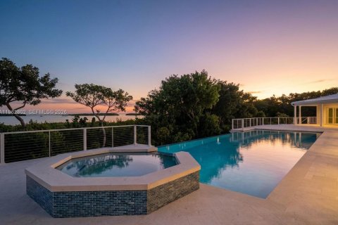 Villa ou maison à vendre à Islamorada, Village of Islands, Floride: 7 chambres № 2024142 - photo 6