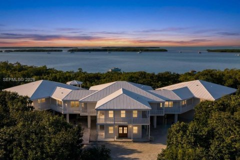 Villa ou maison à vendre à Islamorada, Village of Islands, Floride: 7 chambres № 2024142 - photo 3