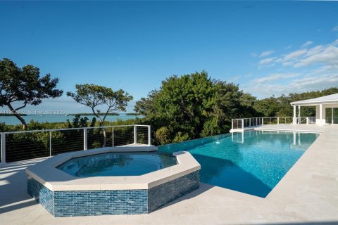 Villa ou maison à vendre à Islamorada, Village of Islands, Floride: 7 chambres № 2024142 - photo 9