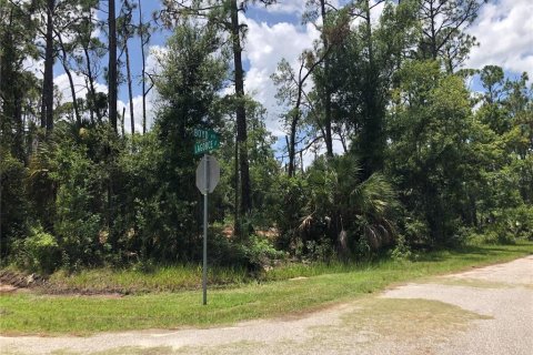Land in North Port, Florida № 2202794
