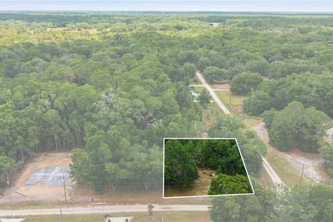 Land in Dunnellon, Florida № 2159065