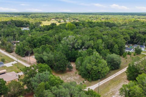 Land in Dunnellon, Florida № 2159065 - photo 2