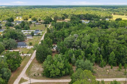 Land in Dunnellon, Florida № 2159065 - photo 3