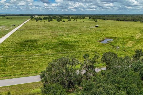 Land in Ona, Florida № 2214355