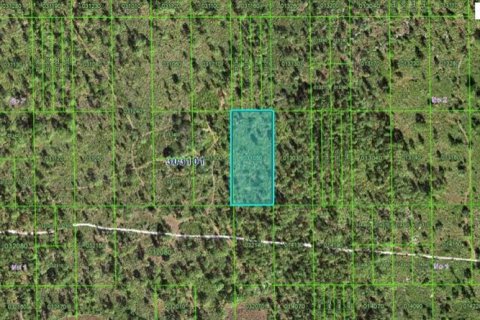 Land in Lake Wales, Florida № 2226946
