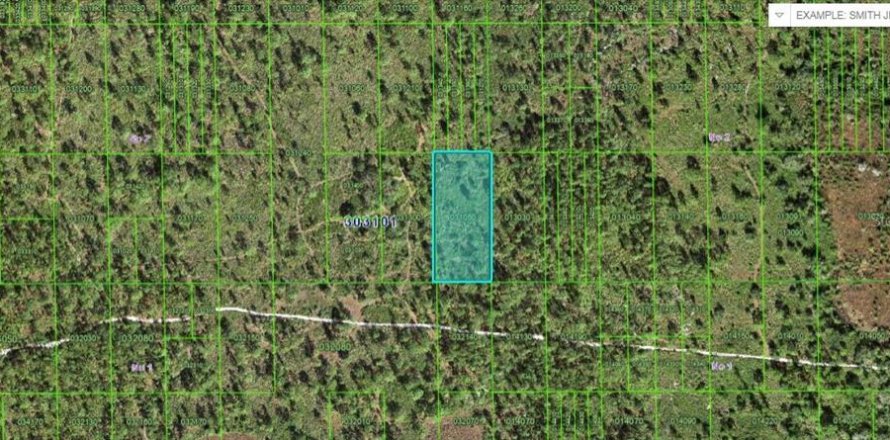 Land in Lake Wales, Florida № 2226946