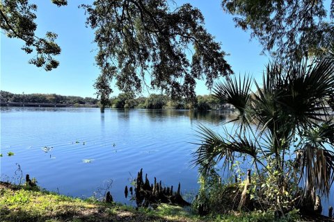Condo in Tampa, Florida, 1 bedroom  № 1652311 - photo 15