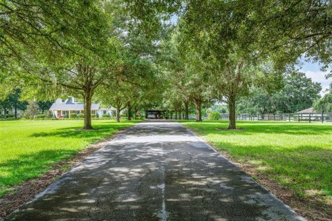 House in Ocala, Florida 4 bedrooms, 295.52 sq.m. № 1564324 - photo 3