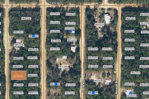 Land in Interlachen, Florida № 2161268