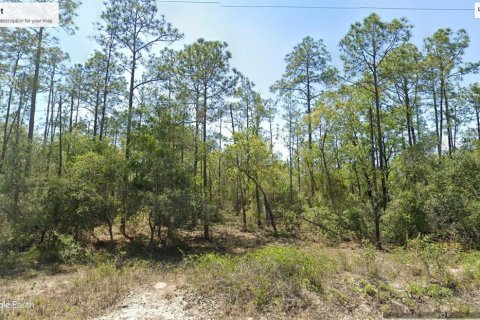Land in Dunnellon, Florida № 2228630
