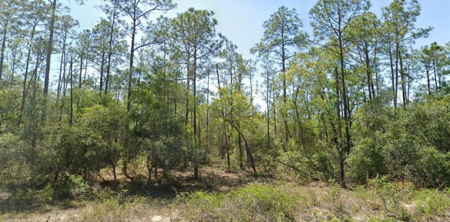 Land in Dunnellon, Florida № 2228630