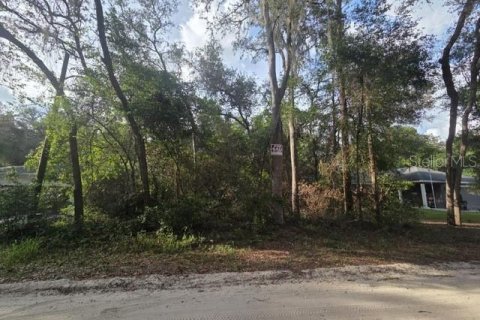 Land in Orange City, Florida № 2159605 - photo 3