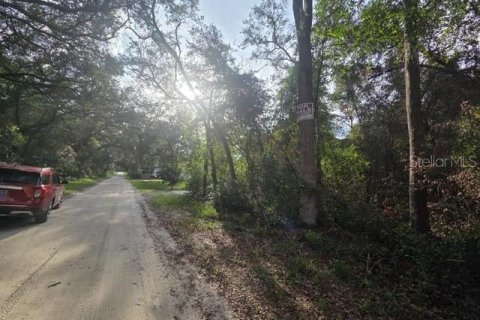 Land in Orange City, Florida № 2159605 - photo 5
