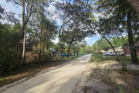 Land in Orange City, Florida № 2159605 - photo 4