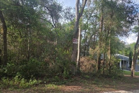 Land in Orange City, Florida № 2159605 - photo 2
