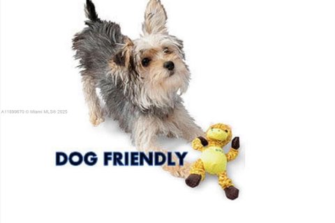 Condo in Pembroke Pines, Florida, 2 bedrooms № 1950764 - photo 20