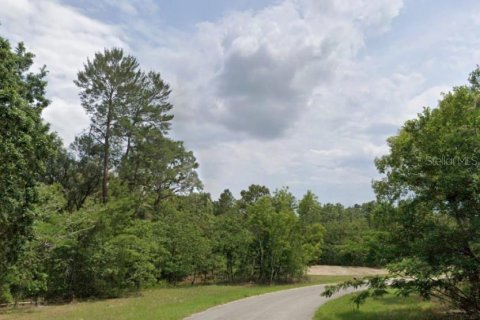Land in Ocala, Florida № 1894542 - photo 3