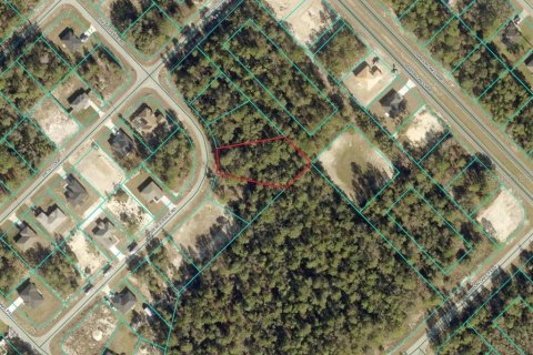 Land in Ocala, Florida № 1894542 - photo 4