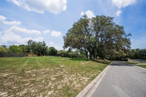 Terreno en venta en Orlando, Florida № 1598296 - foto 9