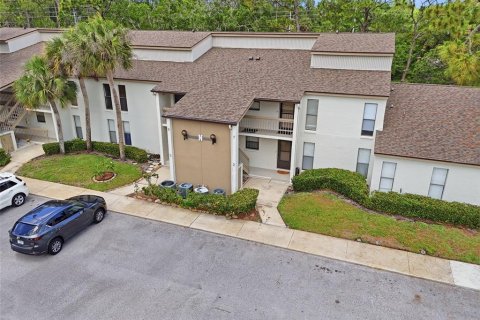 Condo in Palm Harbor, Florida, 2 bedrooms  № 2226572 - photo 25