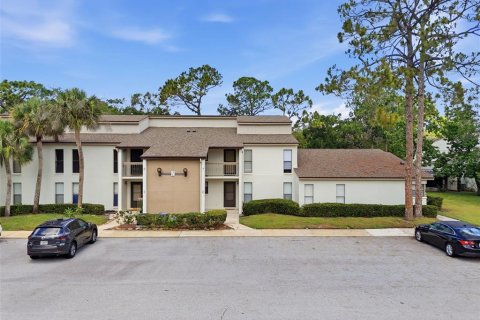 Condo in Palm Harbor, Florida, 2 bedrooms  № 2226572
