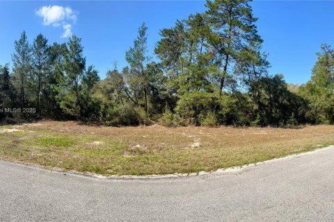 Commercial property in Ocala, Florida № 1850458 - photo 2