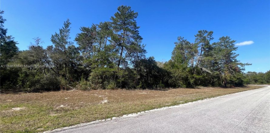 Commercial property in Ocala, Florida № 1850458
