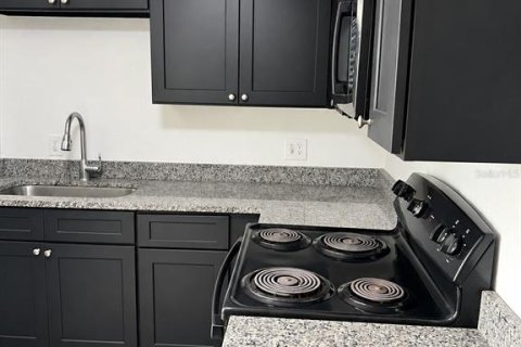 Immobilier commercial à vendre à Eustis, Floride: 7 chambres, 302.49 m2 № 2426001 - photo 7
