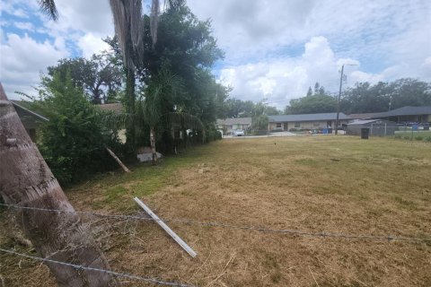 Land in Seffner, Florida № 1848590 - photo 11
