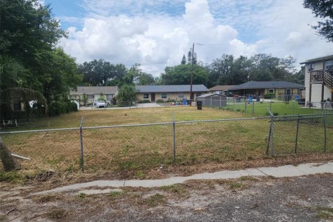Land in Seffner, Florida № 1848590 - photo 2