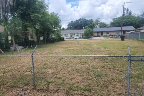 Land in Seffner, Florida № 1848590 - photo 1