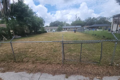 Land in Seffner, Florida № 1848590 - photo 4