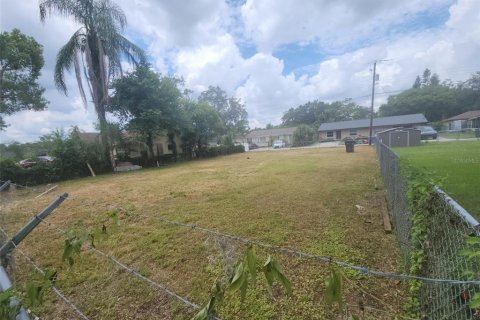 Land in Seffner, Florida № 1848590 - photo 8