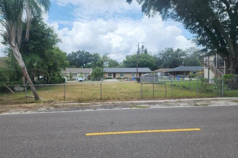 Land in Seffner, Florida № 1848590 - photo 3