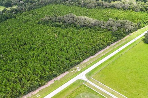Terrain à vendre à Archer, Floride № 2124724 - photo 2