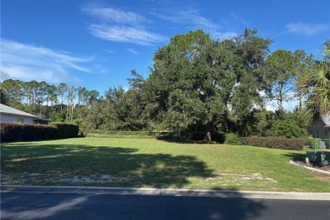 Land in Hernando, Florida № 2368732